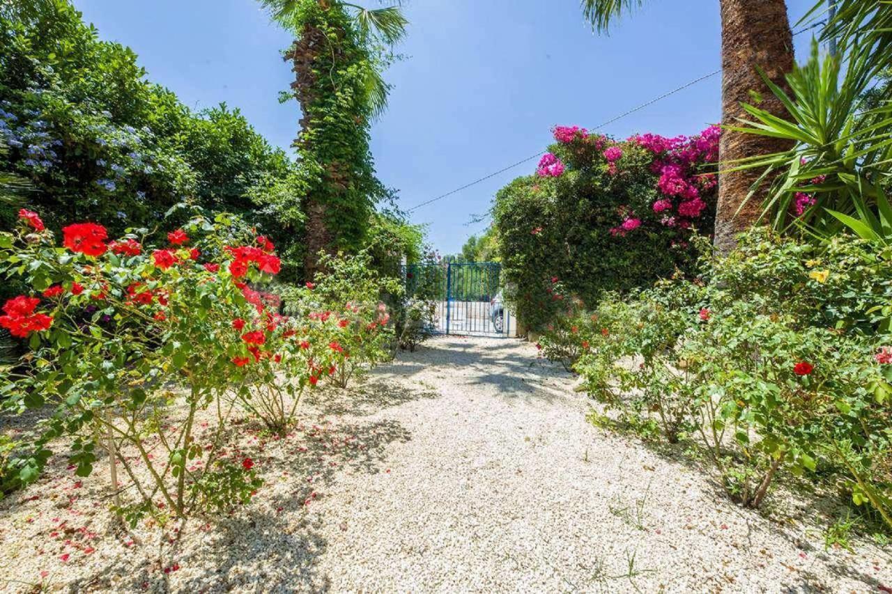 Suite House L'Isola Che Non C'E Фонтане-Бьянке Экстерьер фото